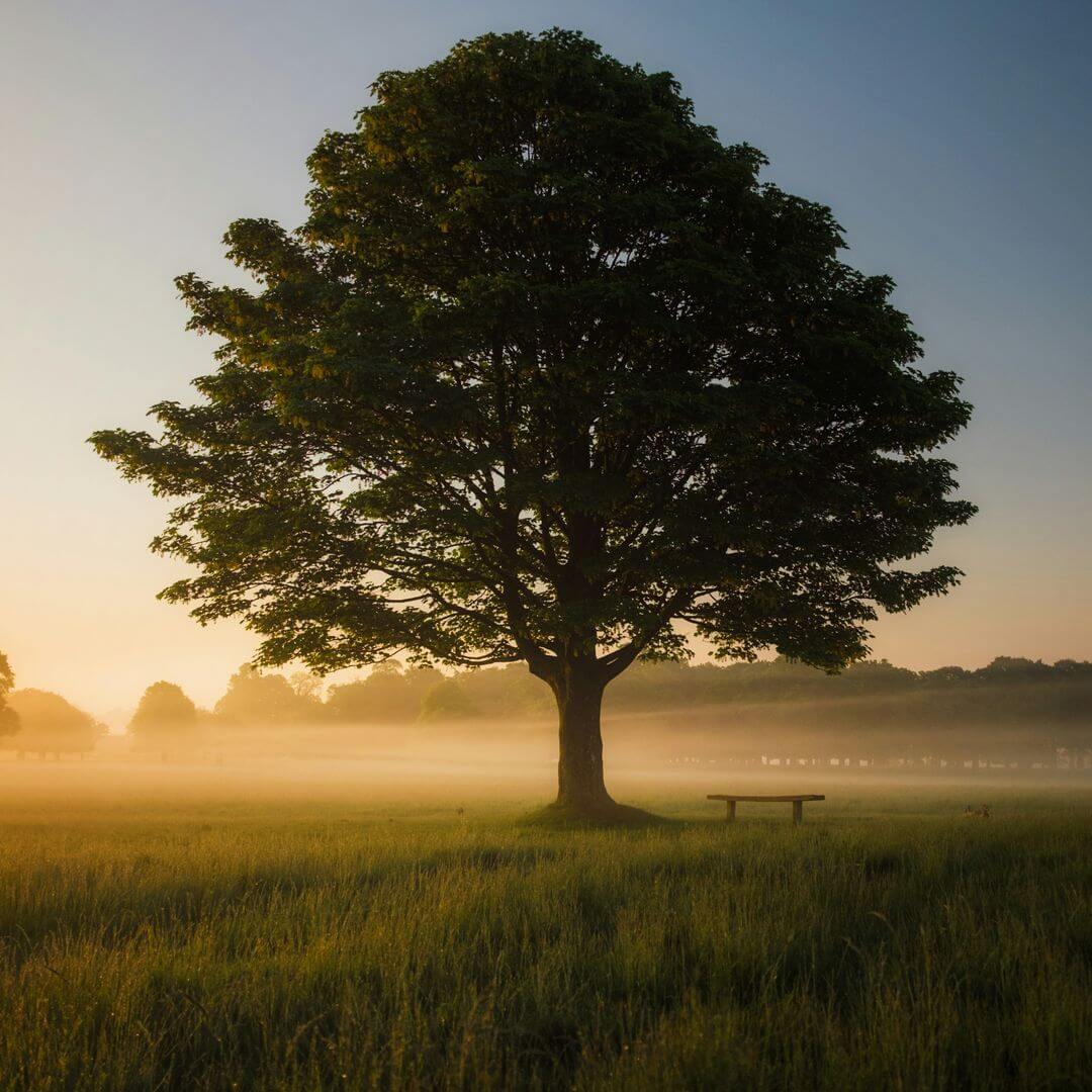 simon-wilkes-S297j2CsdlM-unsplash